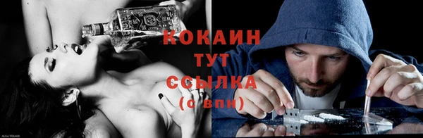 дмт Абаза