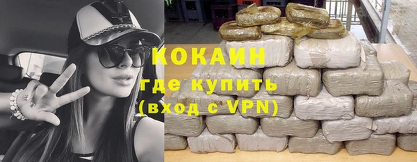 дмт Абаза
